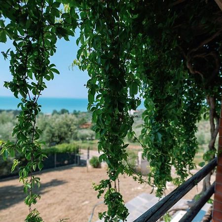 Villa Aiolos Александроуполис Экстерьер фото